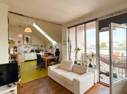 IMG_2663.jpg | Pronájem bytu, 1+kk, 65 m²