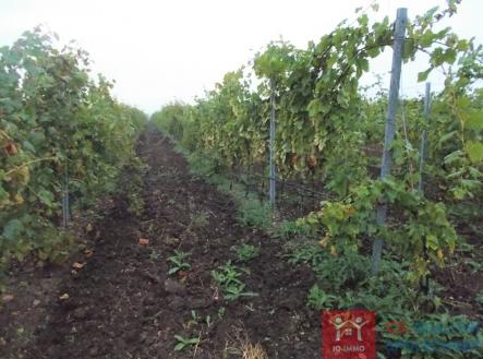 dscn2199.jpg | Prodej - pozemek, ostatní, 75 894 m²