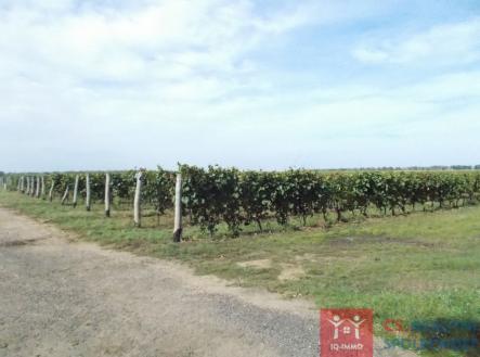 dscn2272.jpg | Prodej - pozemek, ostatní, 75 894 m²