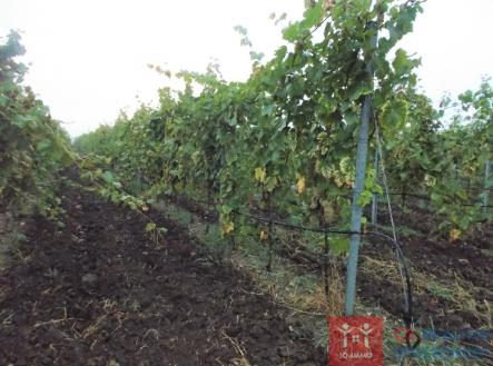 dscn2198.jpg | Prodej - pozemek, ostatní, 92 655 m²