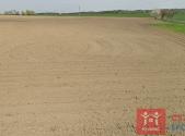Prodej - pozemek, zemědělská půda, 38 124 m²