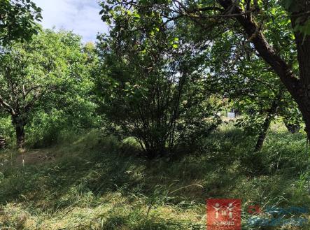 whatsapp-image-2026-06-12-at-09.59.53-3.jpeg | Prodej - pozemek, zahrada, 1 345 m²
