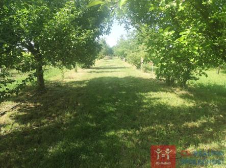 3.jpeg | Prodej - pozemek pro bydlení, 3 609 m²