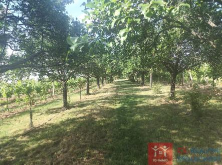 4.jpeg | Prodej - pozemek pro bydlení, 3 609 m²