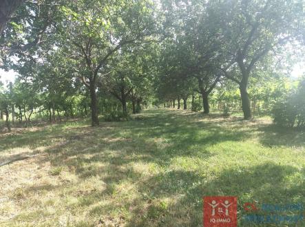 5.jpeg | Prodej - pozemek pro bydlení, 3 609 m²