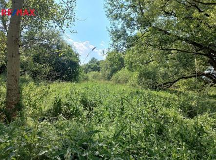 Prodej - pozemek, ostatní, 4 517 m² obrázek