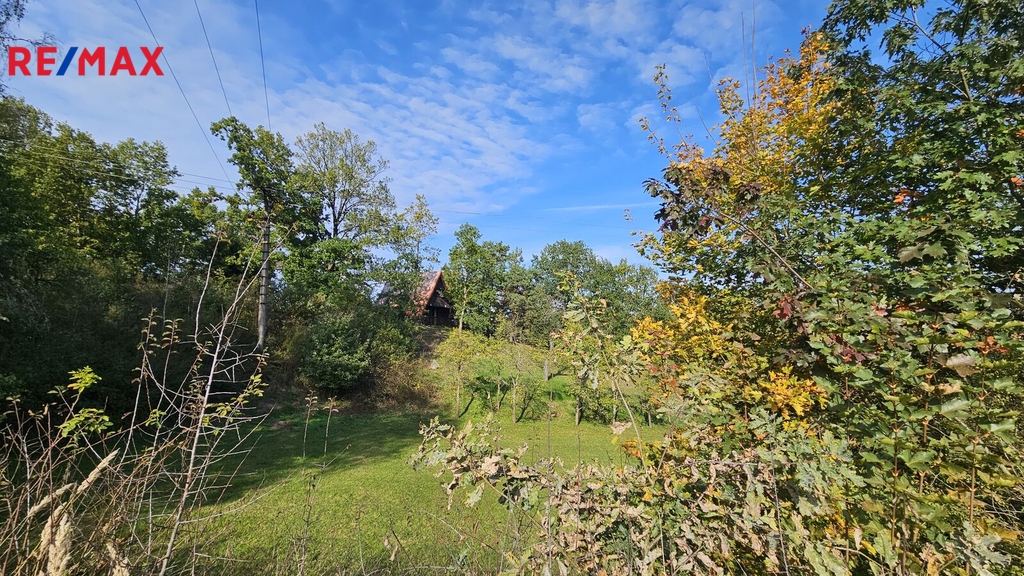 20241017-140919.jpg