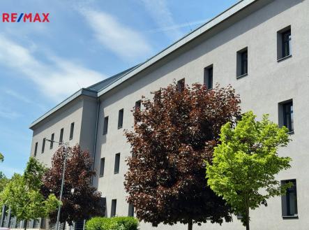 8a33dc92-ffa2-4f38-a221-26868e893c35.jpeg | Pronájem - kanceláře, 65 m²