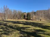 Prodej - pozemek, trvalý travní porost, 3 194 m²