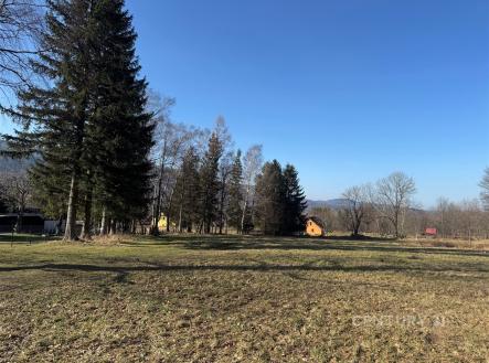 . | Prodej - pozemek, trvalý travní porost, 3 194 m²