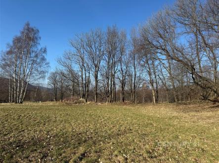 . | Prodej - pozemek, trvalý travní porost, 3 194 m²