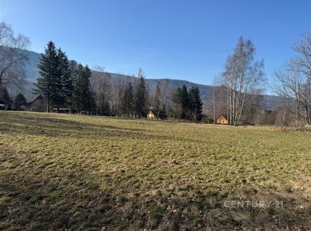 . | Prodej - pozemek, trvalý travní porost, 3 194 m²