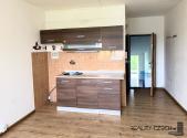 Pronájem bytu, 1+kk, 20 m²