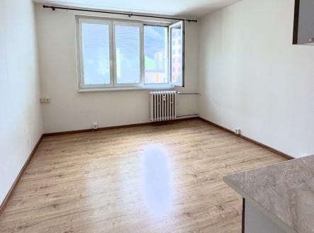 IMG_0077 | Pronájem bytu, 1+kk, 20 m²