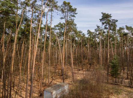 Kersko_rozlišení pro web-14 | Prodej - pozemek pro bydlení, 4 600 m²