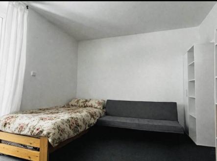 IMG_1119 | Prodej bytu, 1+1, 44 m²