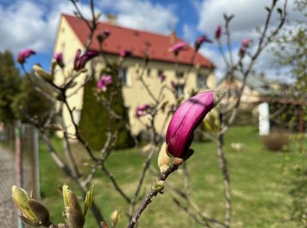 IMG_1285 | Prodej - dům/vila, 320 m²