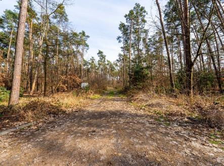 Prodej - pozemek pro bydlení, 4 428 m² obrázek