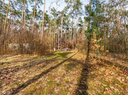 Kersko_rozlišení pro web-2 | Prodej - pozemek pro bydlení, 4 428 m²