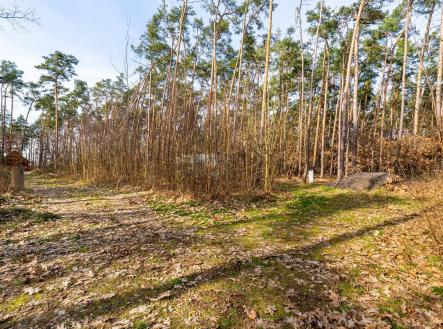 Kersko_rozlišení pro web-3 | Prodej - pozemek pro bydlení, 4 428 m²