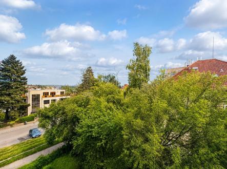 19ebbbcb-22ae-4863-9e54-fd684dddc5cf | Pronájem bytu, 2+1, 56 m²