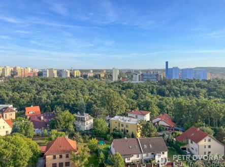 IMG_4700 | Prodej bytu, 1+kk, 24 m²
