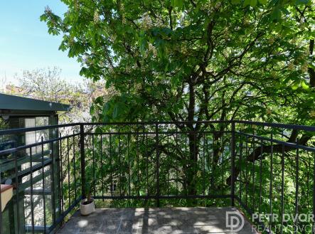 PEG_3970 | Pronájem bytu, 2+kk, 46 m²