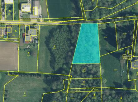 LV ostatní plocha_biokoridor_ortofoto | Prodej - pozemek, les, 2 329 m²
