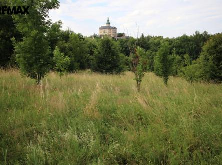 img-1590.jpg | Prodej - pozemek, trvalý travní porost, 25 331 m²