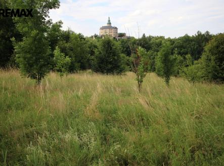 img-1590.jpg | Prodej - pozemek, trvalý travní porost, 25 331 m²