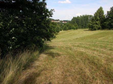 img-1571.jpg | Prodej - pozemek, trvalý travní porost, 25 331 m²