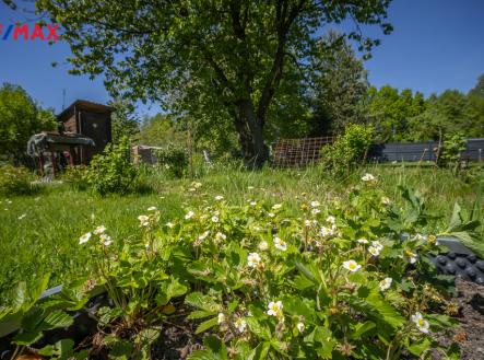 dolnisucha-9.jpg | Prodej - pozemek, zahrada, 956 m²