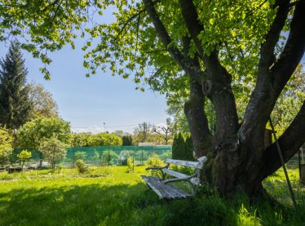 Prodej - chata/rekreační objekt, 20 m² obrázek