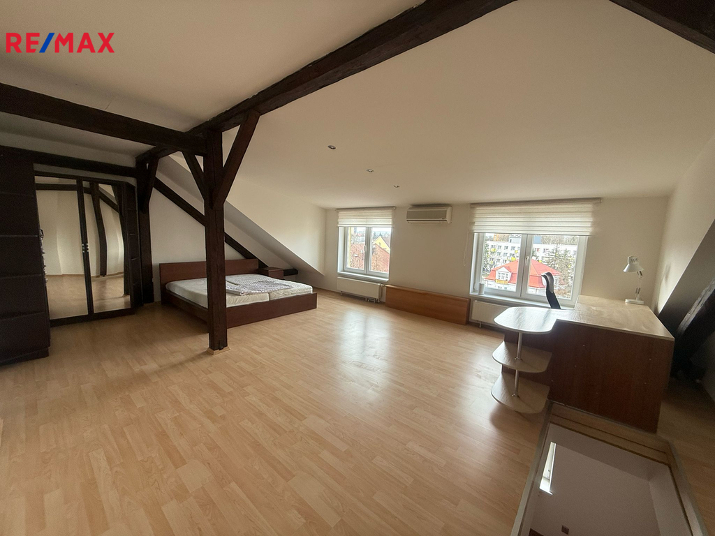 +420 604 191 744 I denisa.myslivcova@re-max.cz