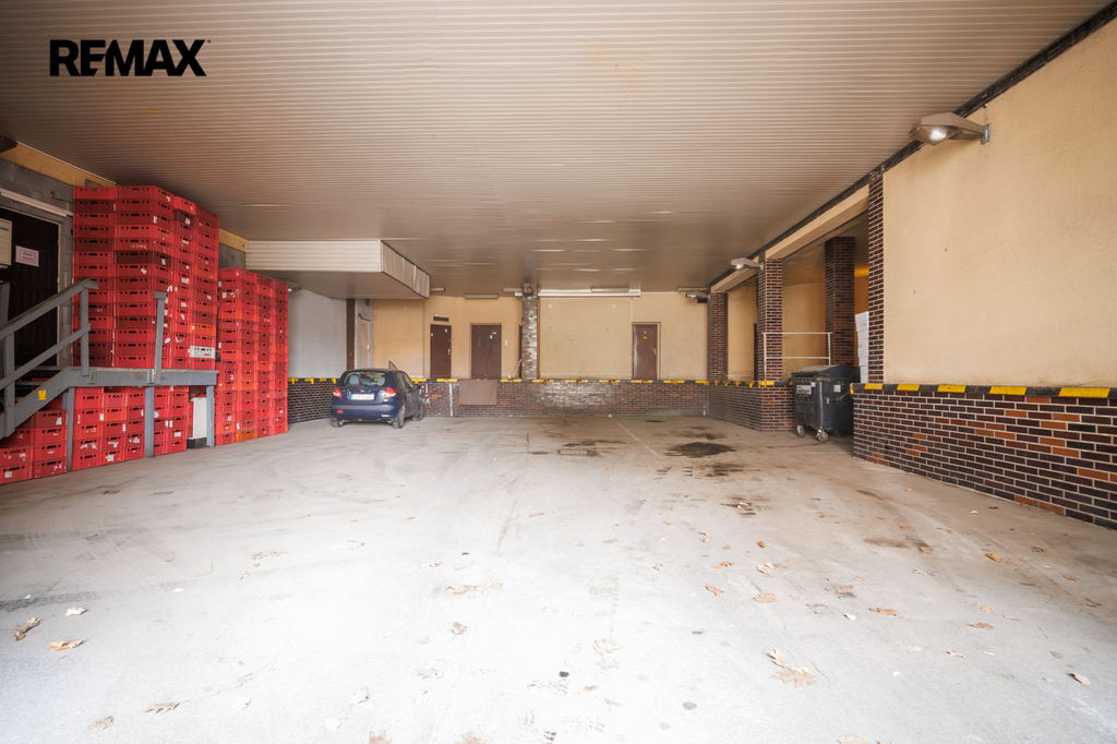 janamaluchy260-17-31.jpg