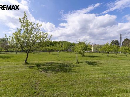 cdp03228.jpg | Prodej - pozemek pro bydlení, 1 166 m²