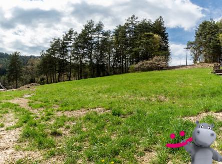 IMG_9117-Pano | Prodej - pozemek pro bydlení, 1 385 m²