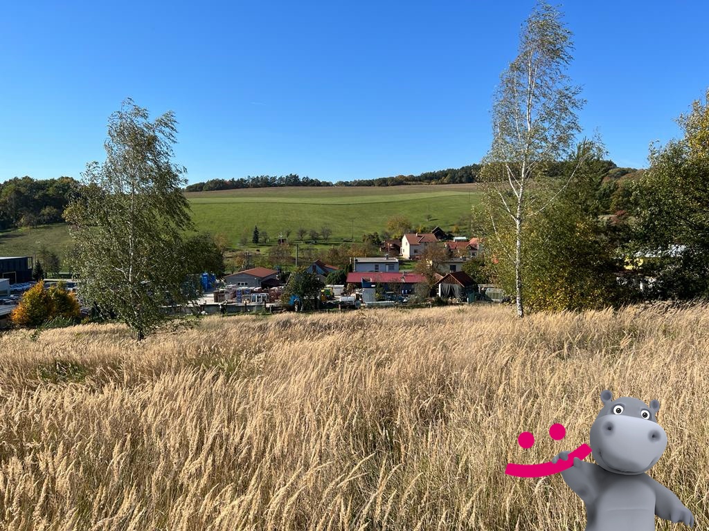 d7e4c794-9324-4090-9cab-ecc384d5091f