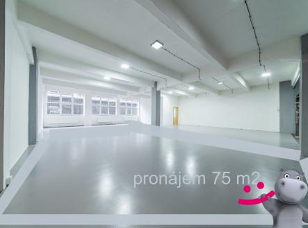 Pronájem - obchodní prostor, 75 m²