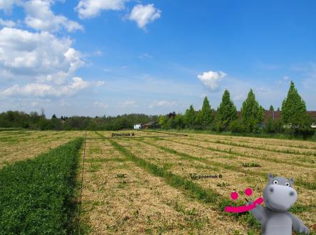 Prodej - pozemek pro bydlení, 4 983 m² obrázek