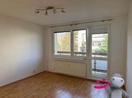 IMG_3075 | Pronájem bytu, 2+1, 58 m²