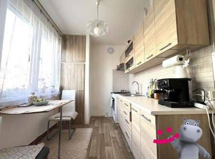 Prodej bytu, 2+1, 48 m² obrázek
