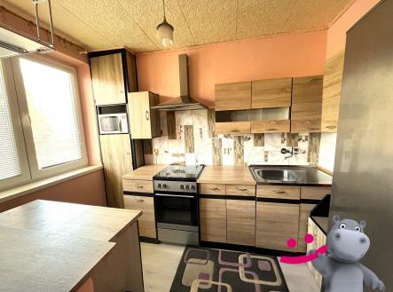 IMG_0801 | Prodej bytu, 3+1, 58 m²