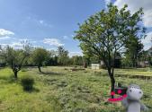 Prodej - pozemek pro bydlení, 1 551 m²