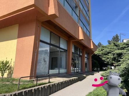 IMG_7387 | Prodej - obchodní prostor, 218 m²