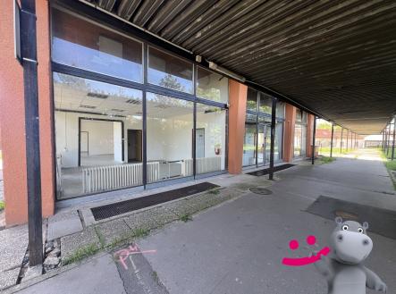 IMG_7391 | Prodej - obchodní prostor, 218 m²