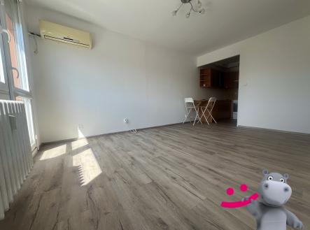 IMG_7665 | Pronájem bytu, 2+kk, 40 m²