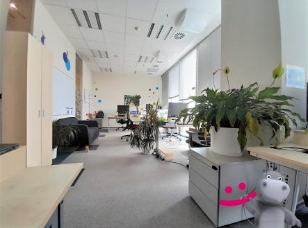20220505_112206 | Pronájem - kanceláře, 32 m²