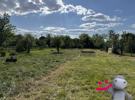 2) | Prodej - pozemek pro bydlení, 1 081 m²