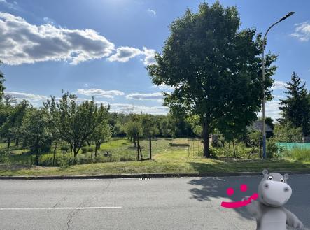 1)[16] | Prodej - pozemek pro bydlení, 1 551 m²